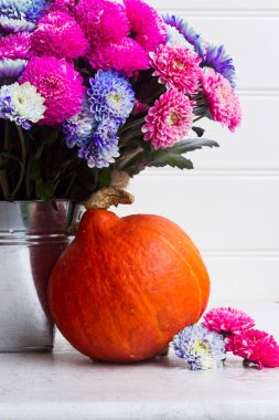 Kasımpatı çiçekleri Güz