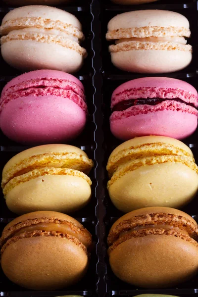 Macarons biscuits sur rose — Photo