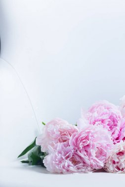 Pembe çiçek arkaplanı