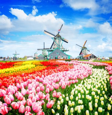 Hollanda rüzgar değirmenleri