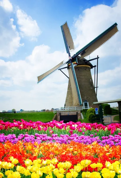 A régi város Zaanse Schans Skyline — Stock Fotó