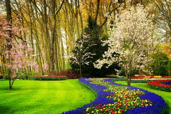 Formális tavaszi kert — Stock Fotó