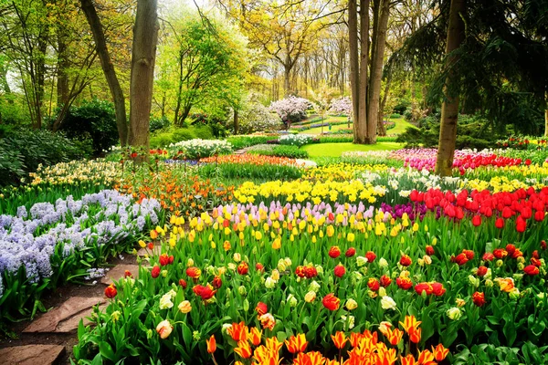 Jardín de primavera formal — Foto de Stock