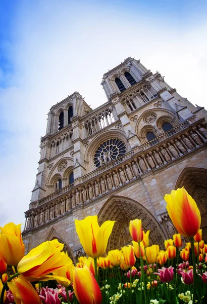 Gevel van de notre dame paris, Frankrijk — Stockfoto