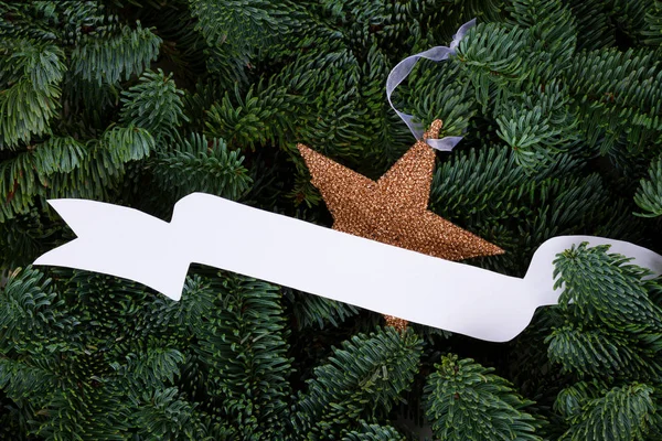 Fundo de Natal com árvore evergreen — Fotografia de Stock