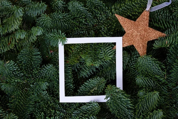 Jul bakgrund med vintergröna träd — Stockfoto