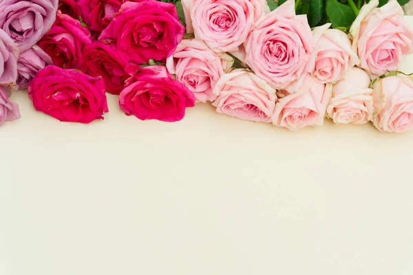 Rosa e viola fioritura rose — Foto Stock