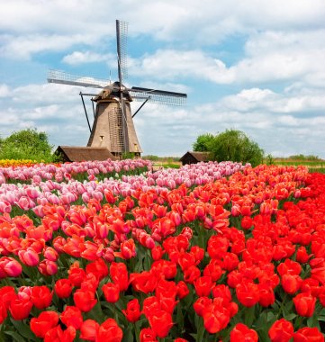 Hollanda rüzgar değirmenleri