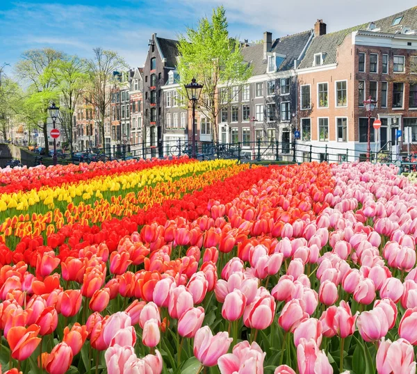 Casas de Amsterdam, Países Bajos — Foto de Stock