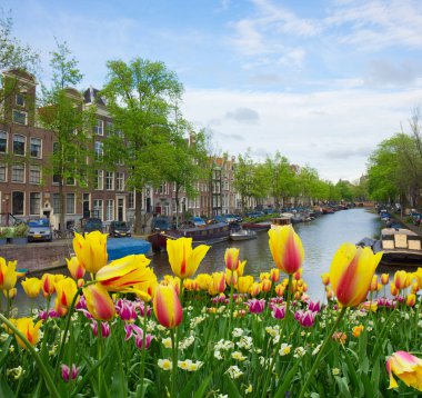 Hollanda, Amstardam 'ın Evleri
