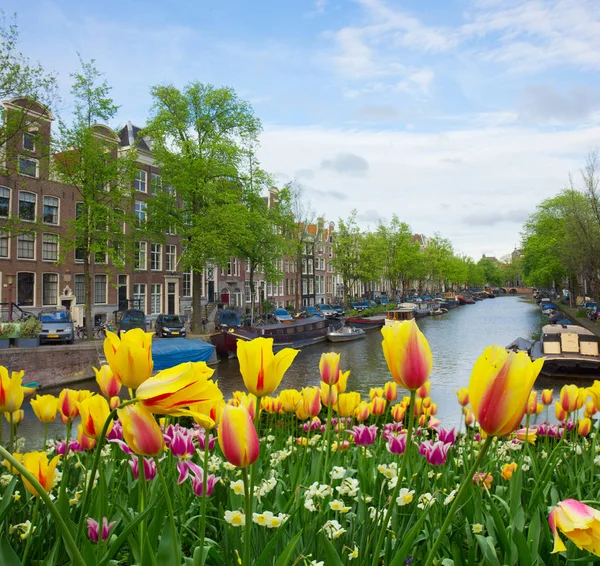Hollanda, Amstardam 'ın Evleri