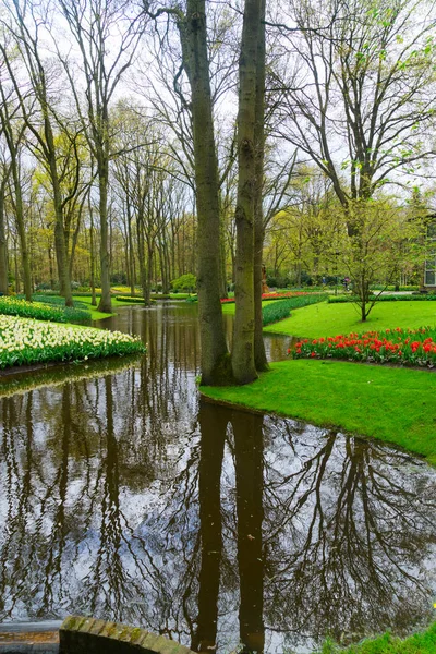 Tavaszi tó a kertben — Stock Fotó