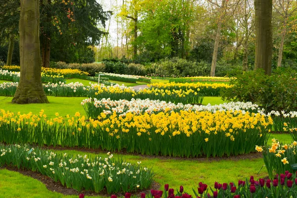 Resmi bahar bahçesi