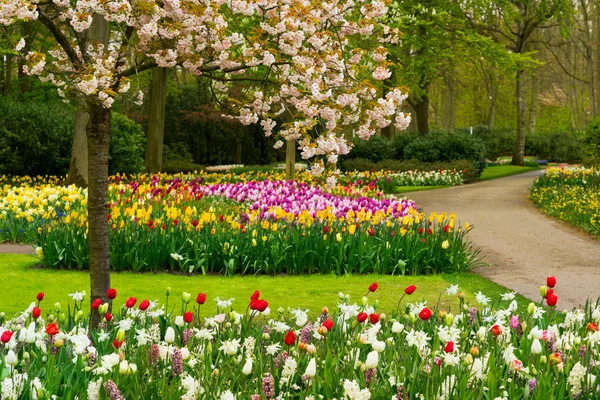 Jardín de primavera formal — Foto de Stock