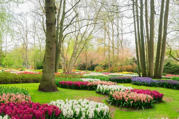 Jardín de primavera formal — Foto de Stock