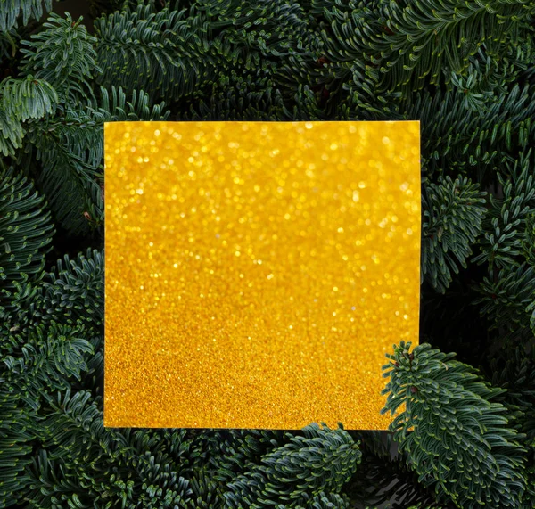Weihnachten Hintergrund mit immergrünem Baum — Stockfoto