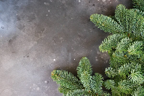 Kerstmis achtergrond met groenblijvende boom — Stockfoto