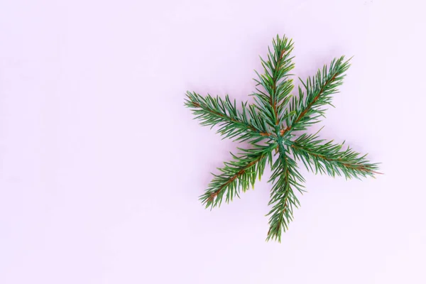 Rama del árbol de Navidad — Foto de Stock