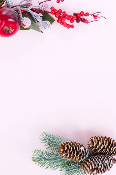 Weihnachtsbaumzweig — Stockfoto