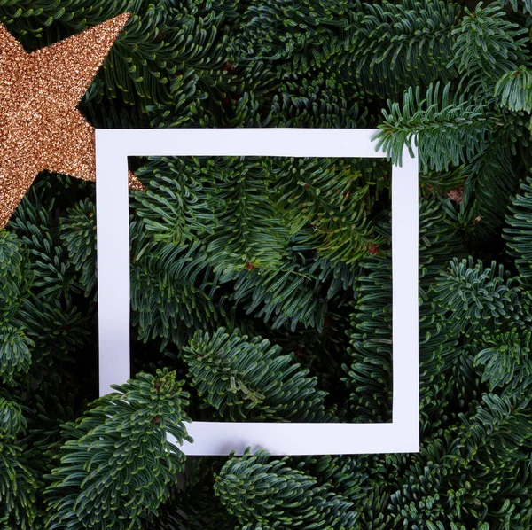 Kerstmis achtergrond met groenblijvende boom — Stockfoto