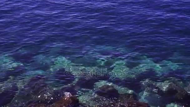 清洁的海水水 — 图库视频影像