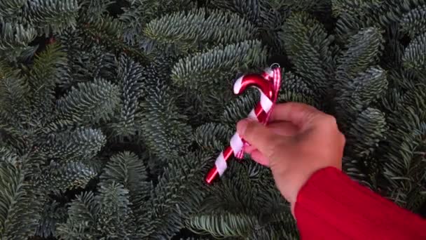 Kerstmis achtergrond met groenblijvende boom — Stockvideo