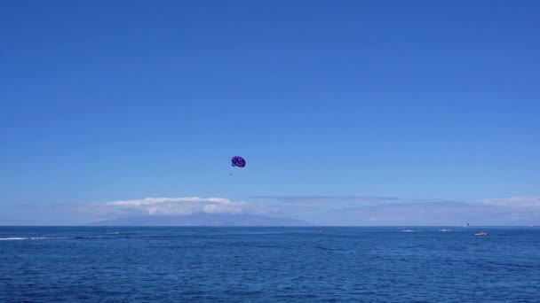 Eau de mer propre — Video