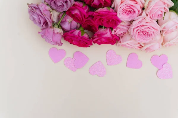 Fialové a růžové kvetoucí růže — Stock fotografie