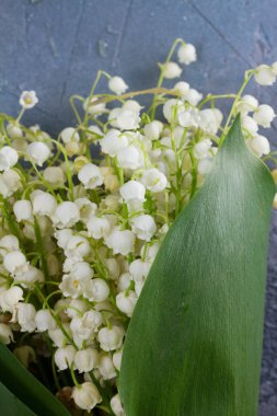 Vadi çiçekleri zambağı