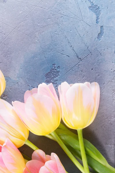 Pink and yellow tulips — Stock Photo, Image