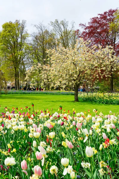 Jardín de primavera formal — Foto de Stock
