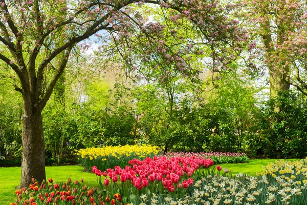 Primavera en el jardín —  Fotos de Stock