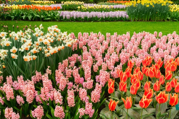 Jardín de primavera formal —  Fotos de Stock
