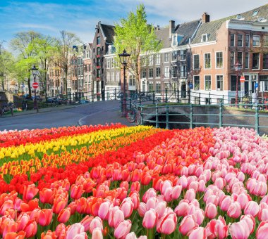 Hollanda, Amstardam 'ın Evleri