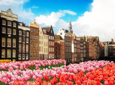 Hollanda, Amstardam 'ın Evleri