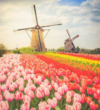 Hollanda rüzgar değirmenleri