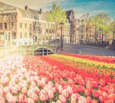 Hollanda, Amstardam 'ın Evleri