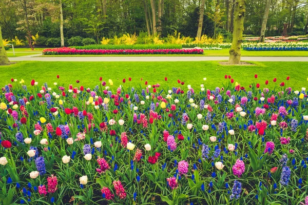 Весенний сад — стоковое фото