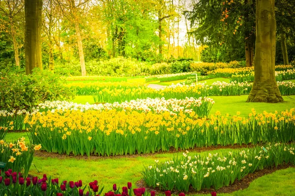 Jardín de primavera formal — Foto de Stock