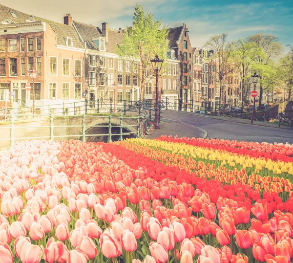 Huizen van Amstardam, Nederland — Stockfoto