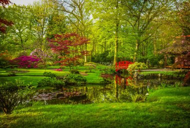 Baharda Japon bahçesi