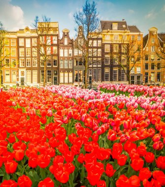 Hollanda, Amstardam 'ın Evleri