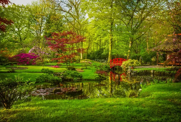Jardim japonês na primavera — Fotografia de Stock