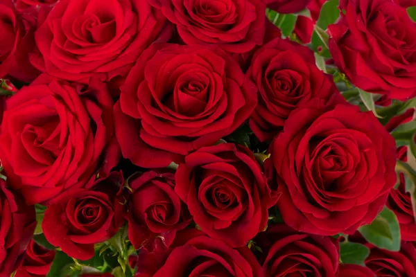 Bouquet of dark red roses — Stock Photo, Image