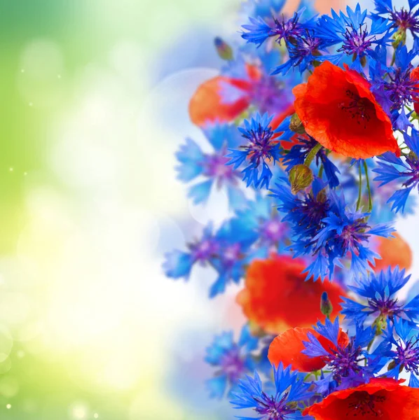 Papaver en korenbloem boeket — Stockfoto