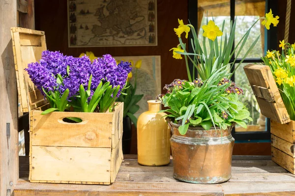 Våren blommor natur — Stockfoto