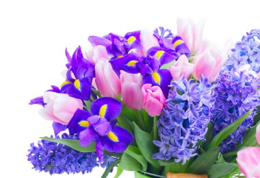 sümbüller ve laleler