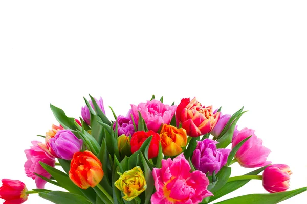 Strauß von Tulpenblumen — Stockfoto