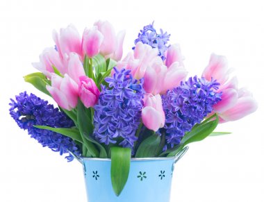 sümbüller ve laleler