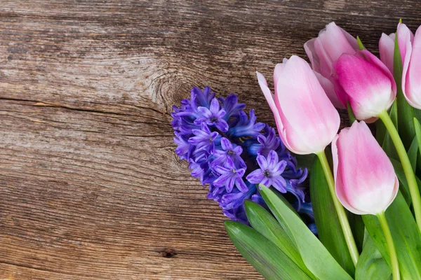 Giacinti e tulipani — Foto Stock